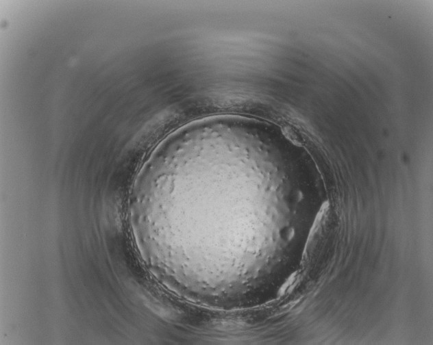 X0000062140644200512161219