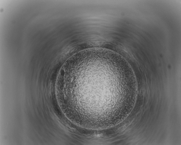 X0000062140647200512161219