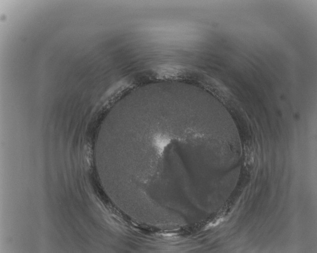 X0000062140648200512161219