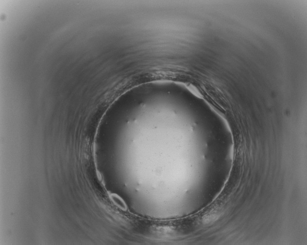 X0000062140649200512161219