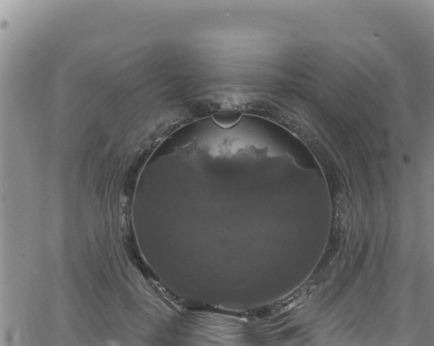 X0000062140650200512161219