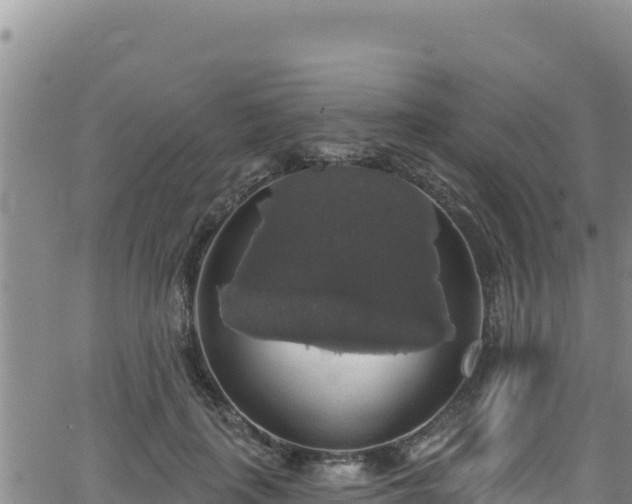 X0000062140651200512161219