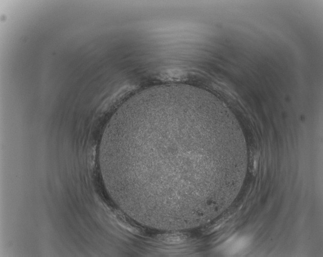 X0000062140652200512161219