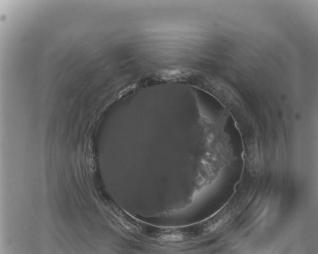 X0000062140653200512161219