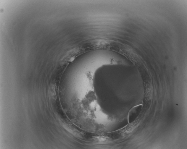 X0000062140654200512161219