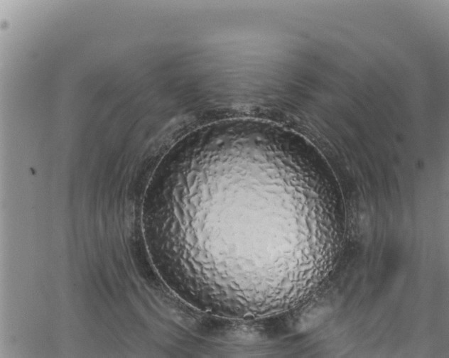 X0000062140656200512161219