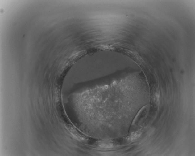 X0000062140658200512161219