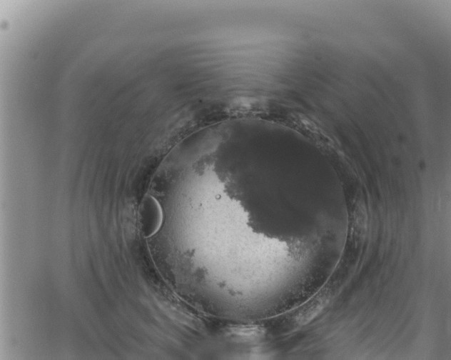 X0000062140659200512161219