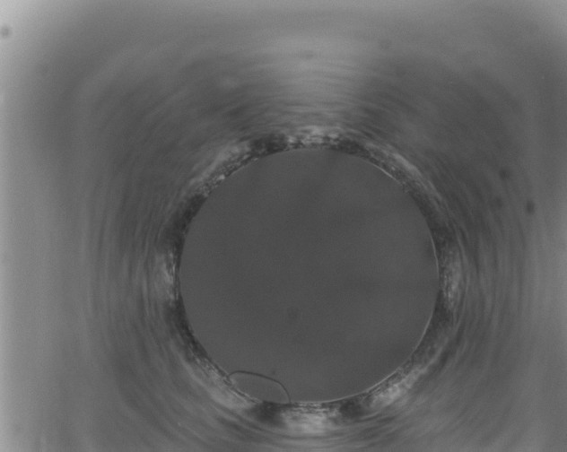 X0000062140661200512161219