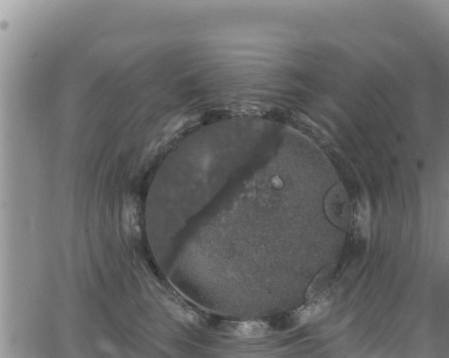 X0000062140663200512161219