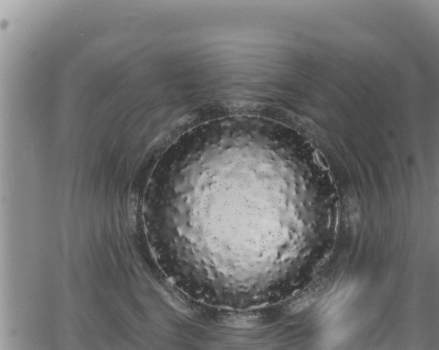 X0000062140664200512161219