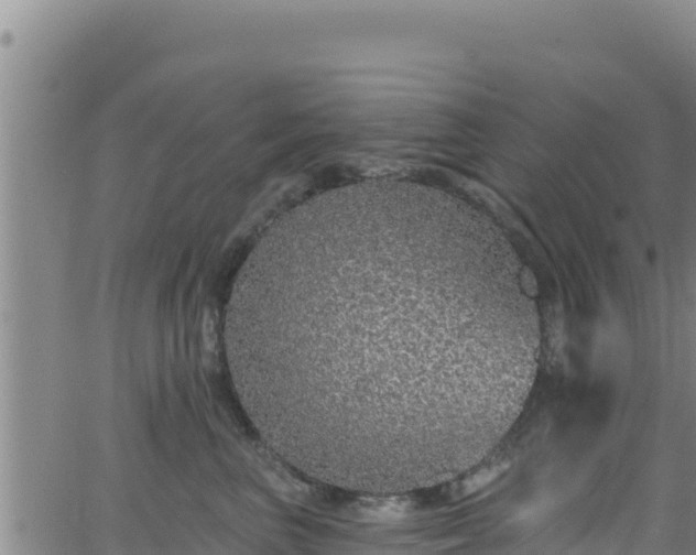 X0000062140667200512161219