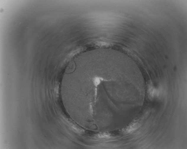 X0000062140668200512161219