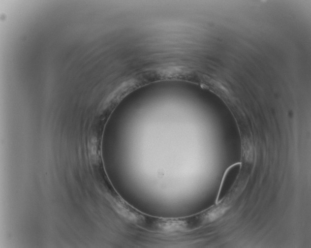 X0000062140670200512161219