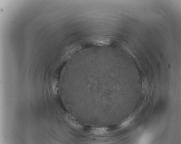 X0000062140671200512161219