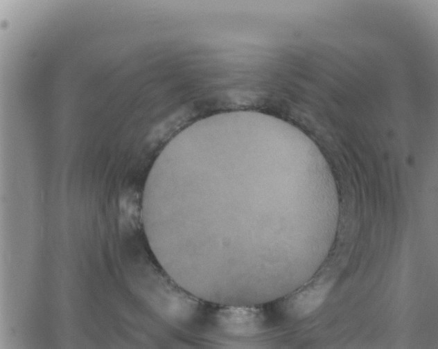 X0000062140672200512161219