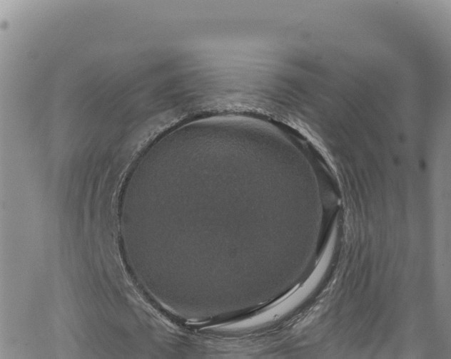 X0000062140673200512161218