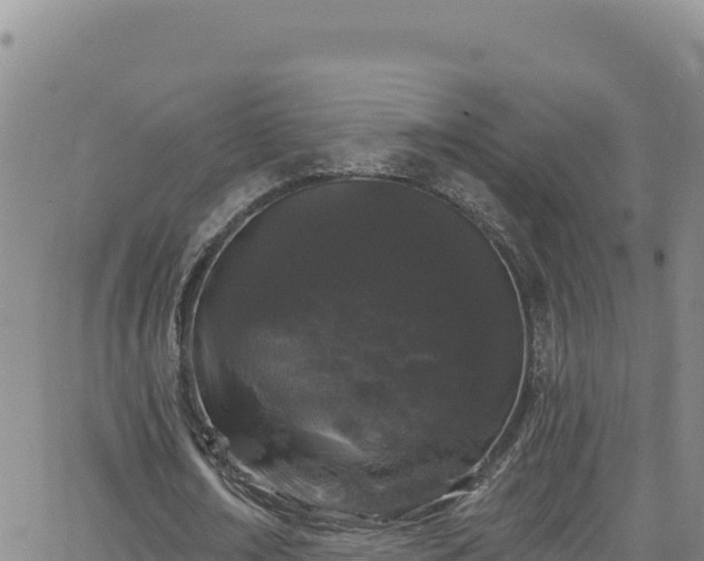 X0000062140674200512161218