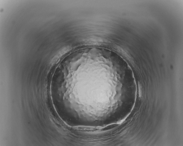 X0000062140675200512161218