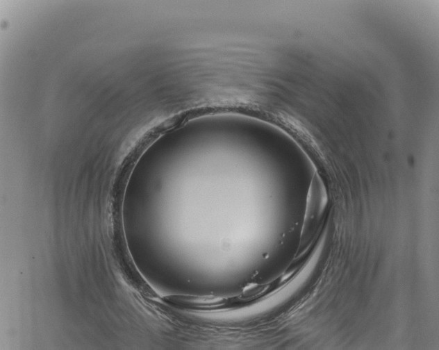 X0000062140676200512161218