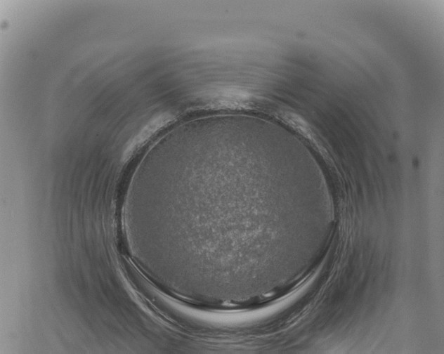 X0000062140677200512161218