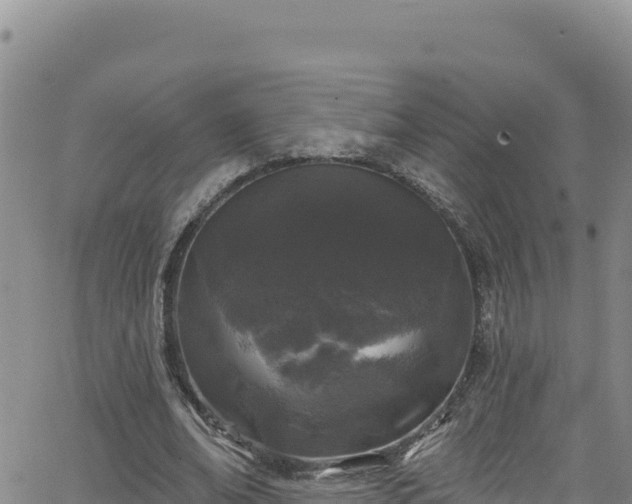 X0000062140678200512161218