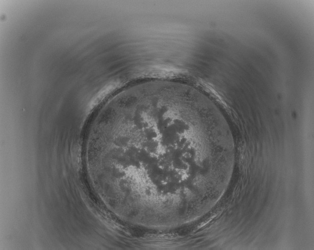 X0000062140679200512161218