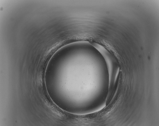 X0000062140681200512161218