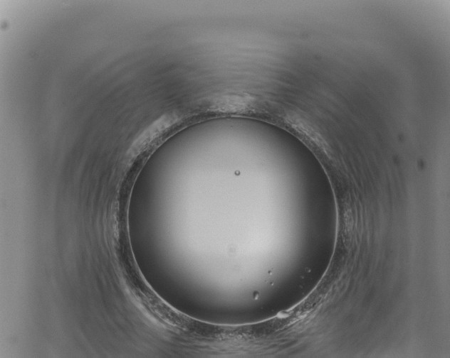 X0000062140682200512161218