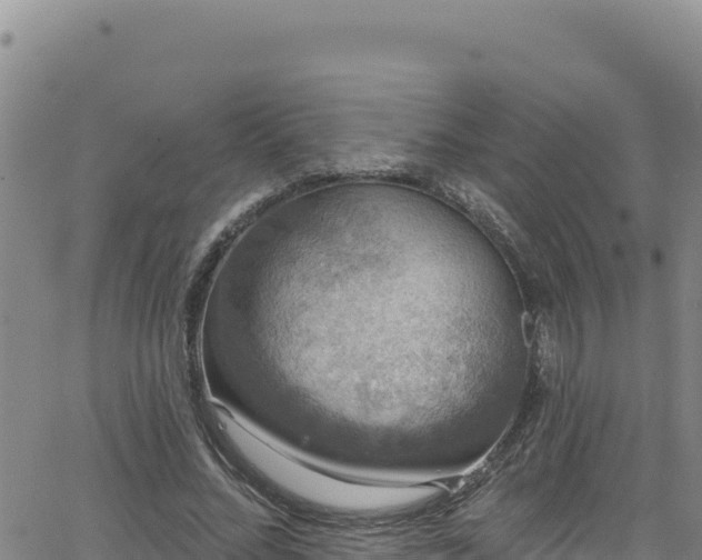 X0000062140684200512161218