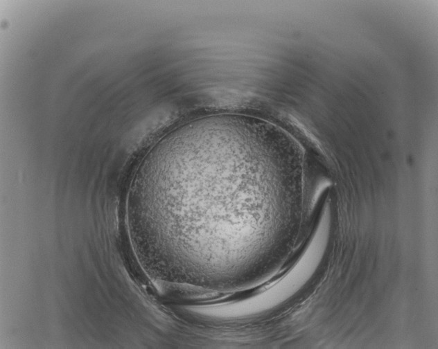 X0000062140685200512161218