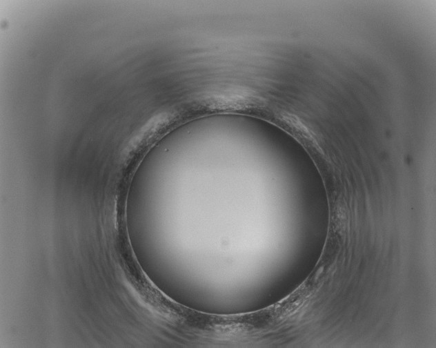 X0000062140686200512161218