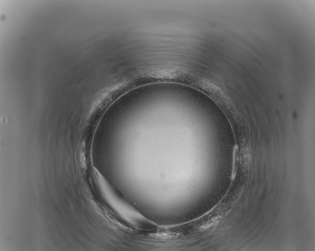 X0000062140688200512161218