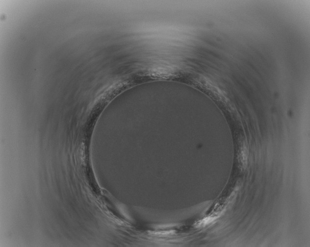 X0000062140689200512161218