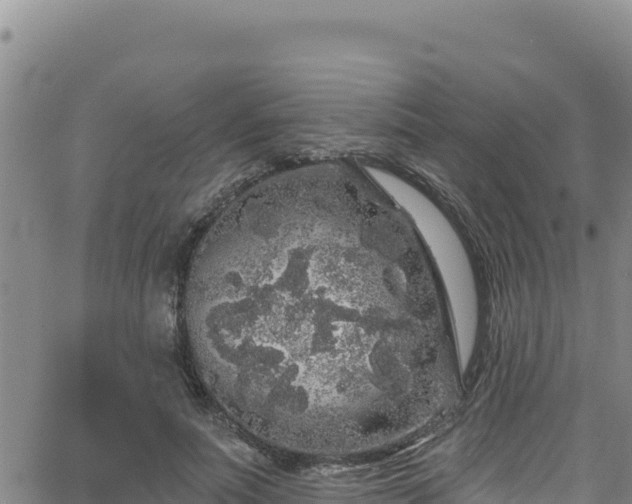 X0000062140691200512161218