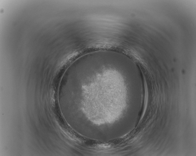 X0000062140692200512161218