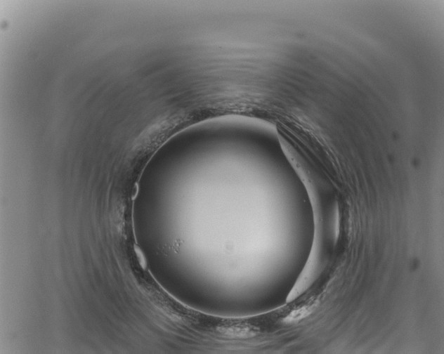 X0000062140693200512161218