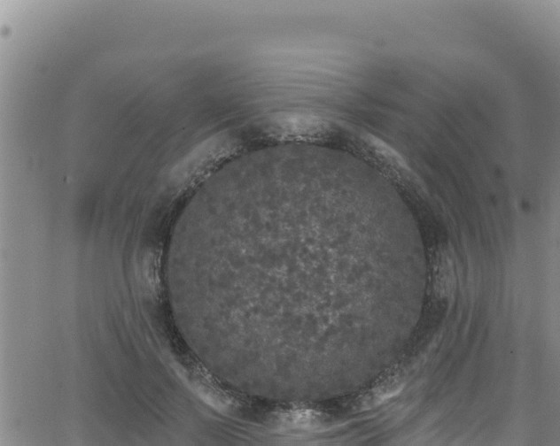 X0000062140695200512161218