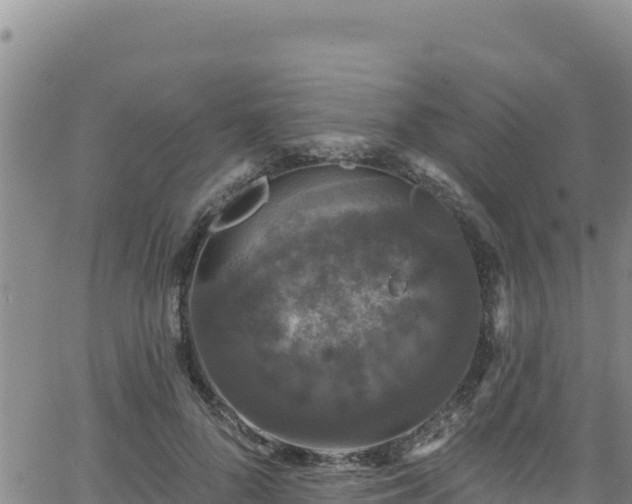 X0000062140696200512161218