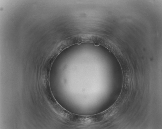 X0000062140698200512161218