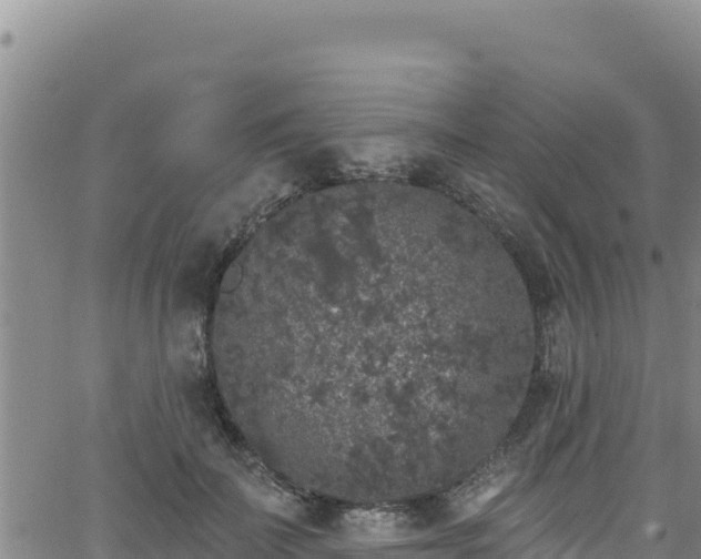 X0000062140699200512161218