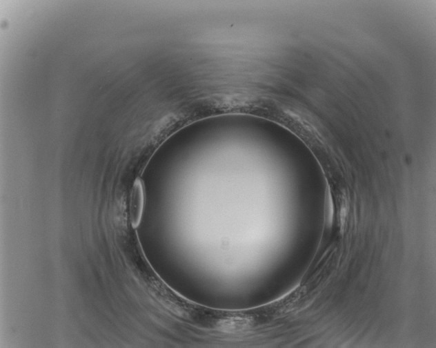 X0000062140700200512161218