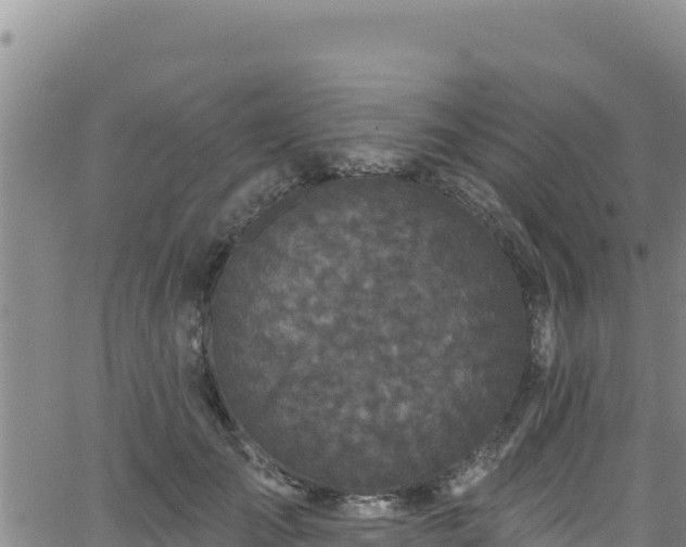 X0000062140701200512161218