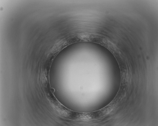 X0000062140702200512161218