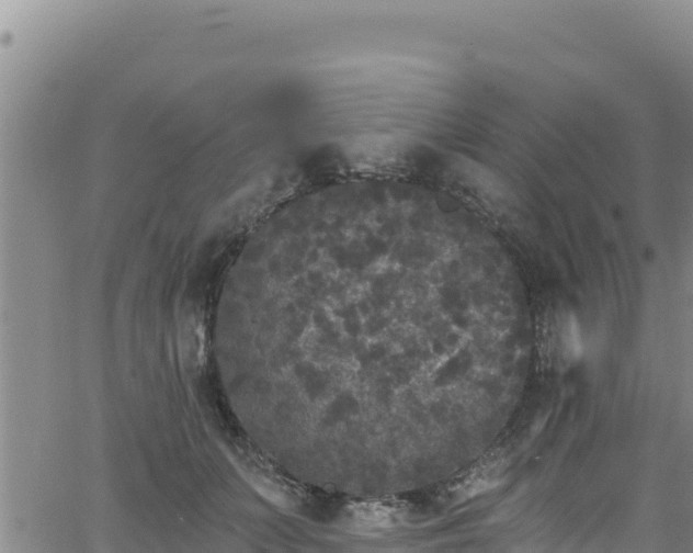 X0000062140703200512161218