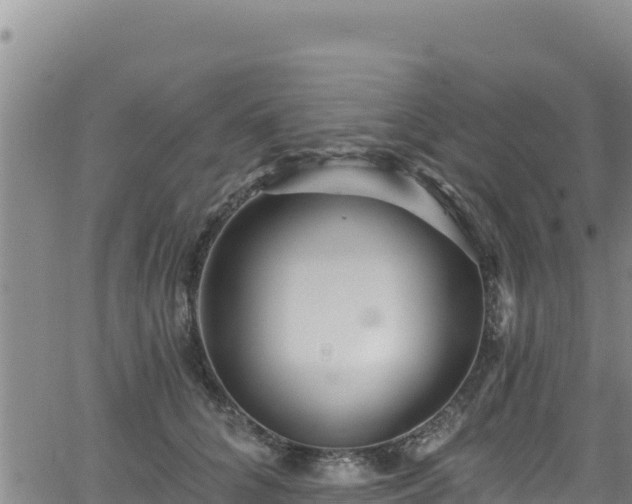 X0000062140704200512161218