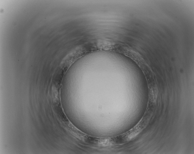 X0000062140705200512161218