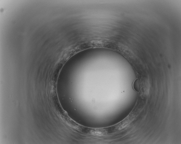 X0000062140706200512161218