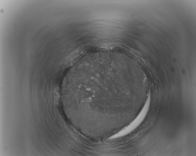 X0000062140707200512161218