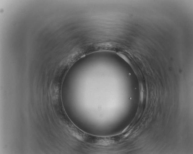 X0000062140708200512161218